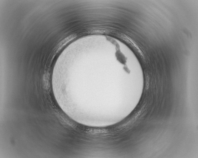 X0000115050786200912071129