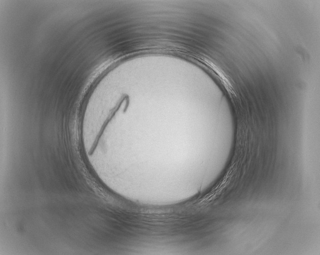 X0000115050788200912071129