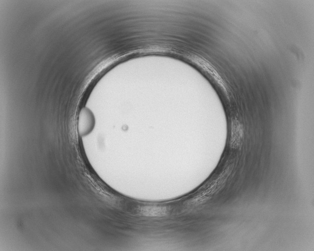 X0000115050789200912071129