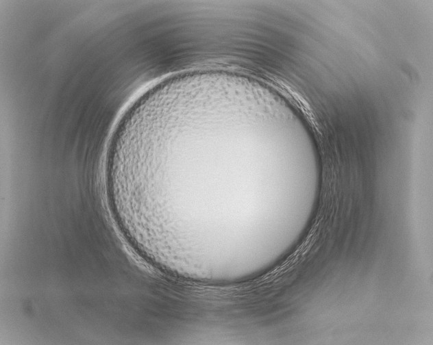 X0000115050792200912071129