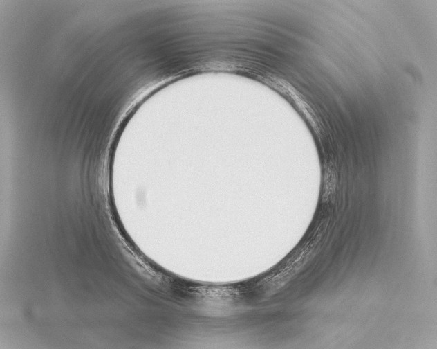 X0000115050795200912071129