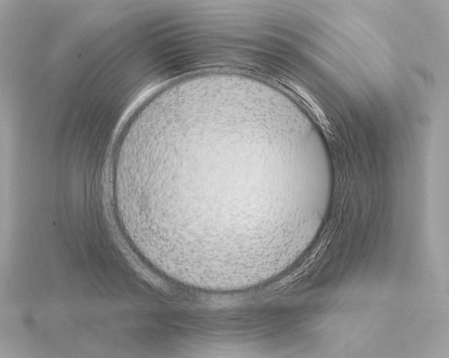 X0000115050796200912071129