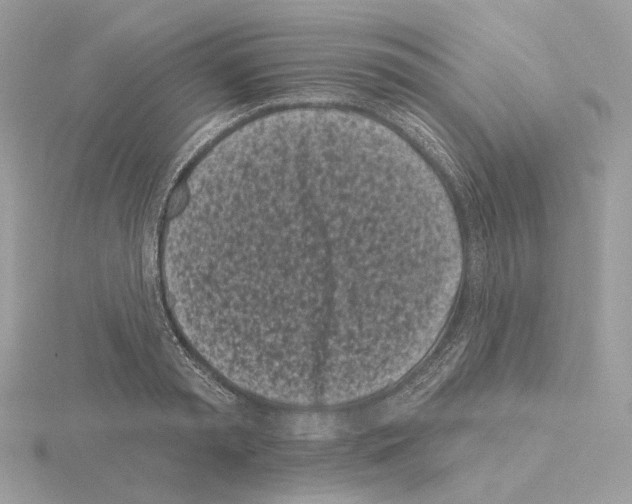 X0000115050797200912071129