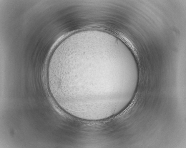 X0000115050800200912071129