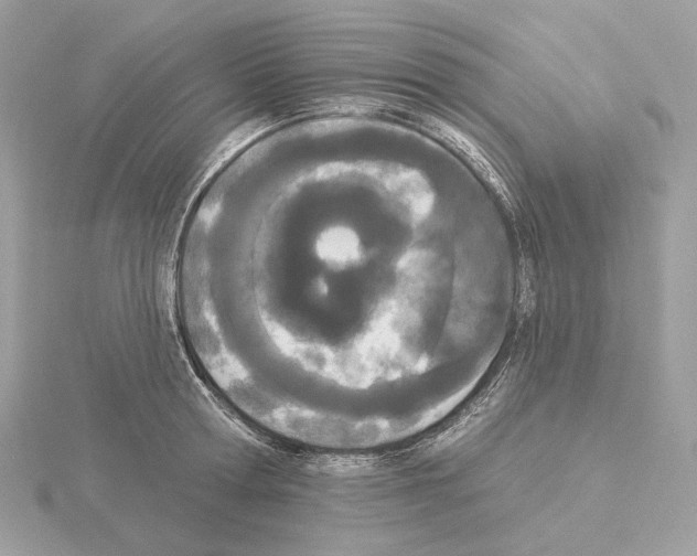 X0000115050802200912071129