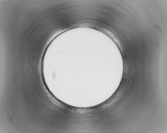 X0000115050803200912071129