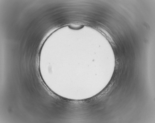 X0000115050804200912071129