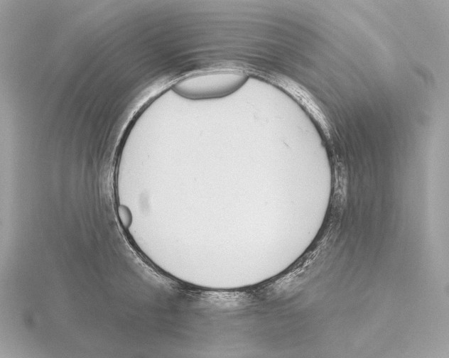 X0000115050805200912071129