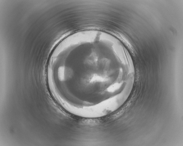 X0000115050806200912071129