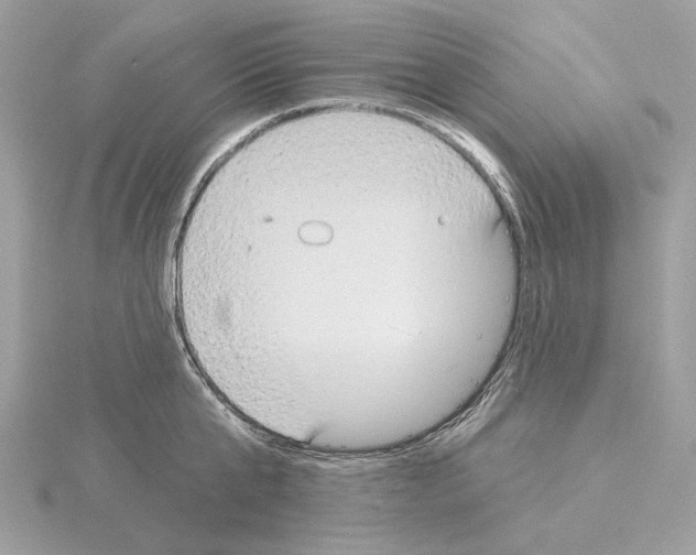 X0000115050807200912071129