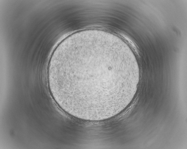 X0000115050808200912071129