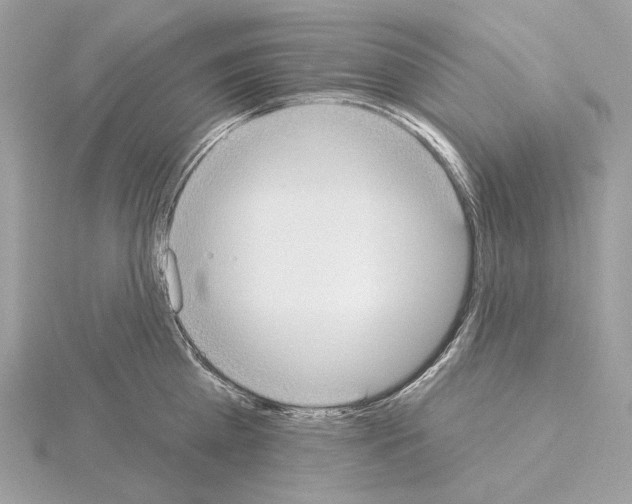 X0000115050809200912071129