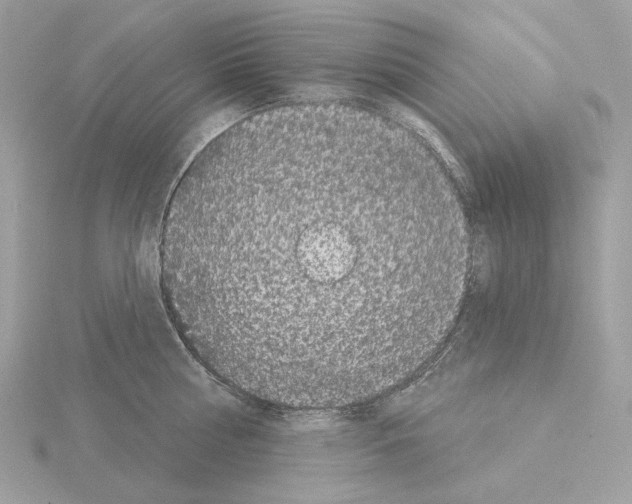 X0000115050810200912071129