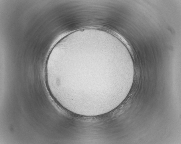 X0000115050811200912071129