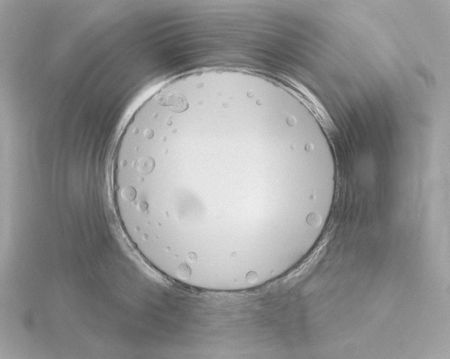 X0000115050812200912071129