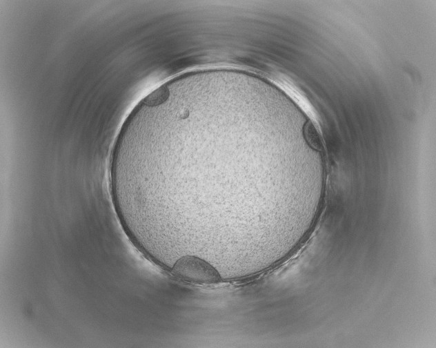 X0000115050813200912071129