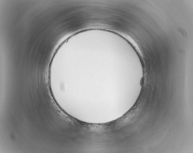 X0000115050815200912071129