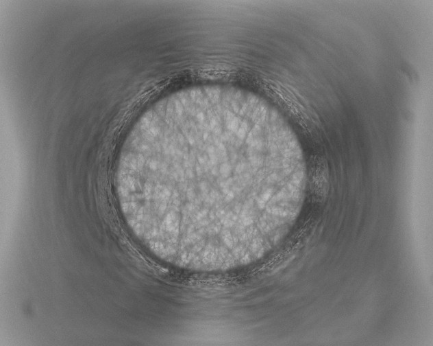 X0000115050817200912071128