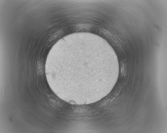 X0000115050819200912071128