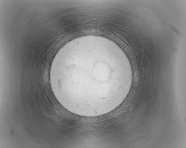 X0000115050820200912071128