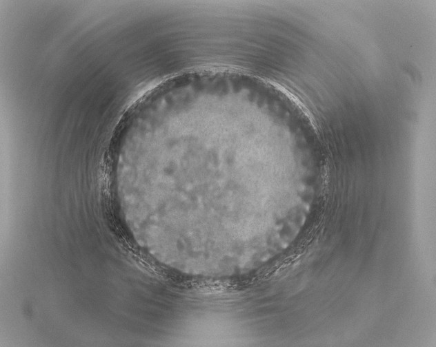 X0000115050823200912071128