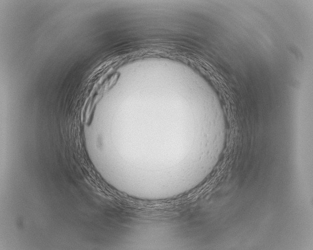 X0000115050824200912071128