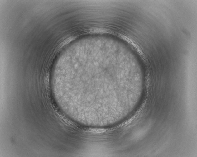 X0000115050825200912071128