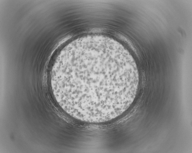 X0000115050827200912071128