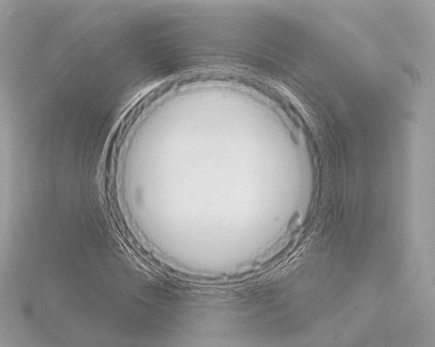 X0000115050828200912071128