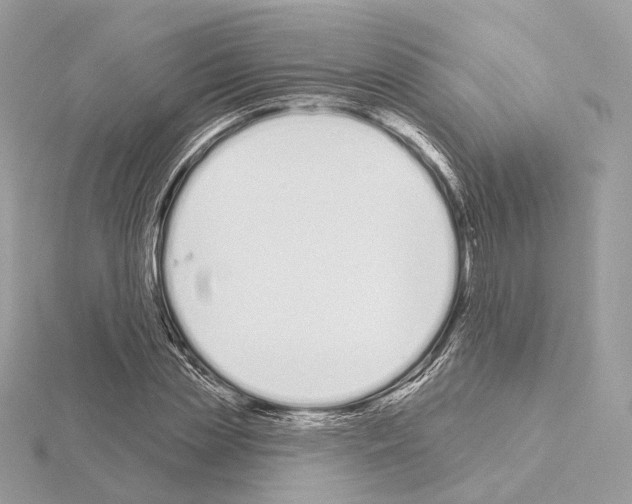 X0000115050829200912071128