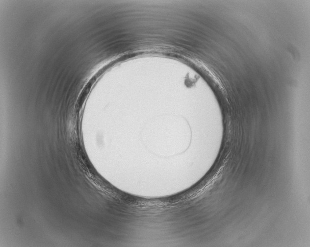 X0000115050830200912071128