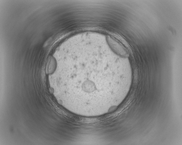 X0000115050831200912071128