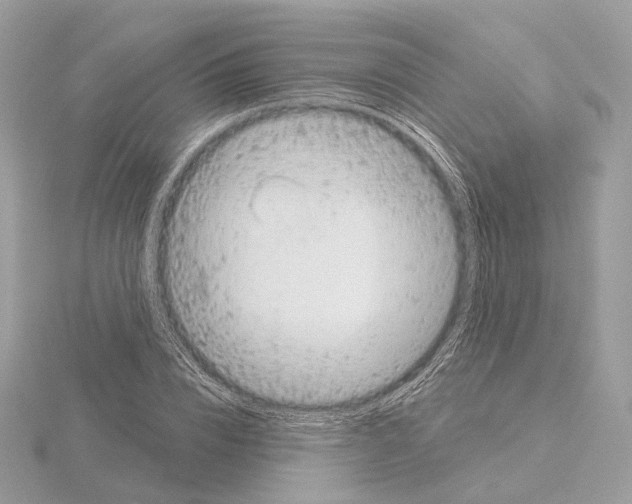 X0000115050832200912071128