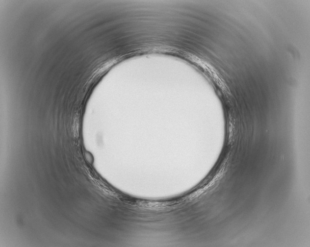 X0000115050833200912071128