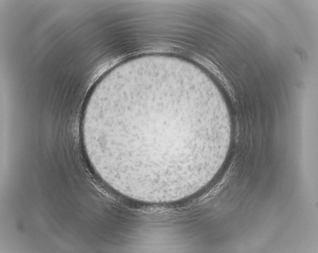 X0000115050834200912071128