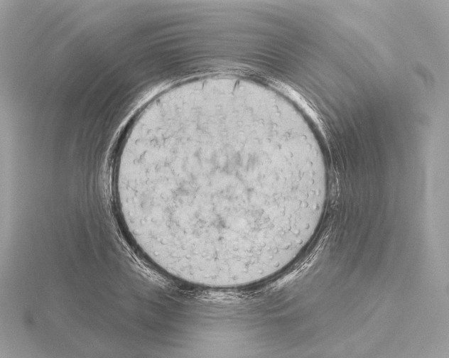 X0000115050835200912071128