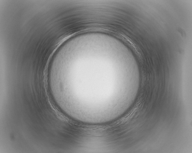 X0000115050836200912071128