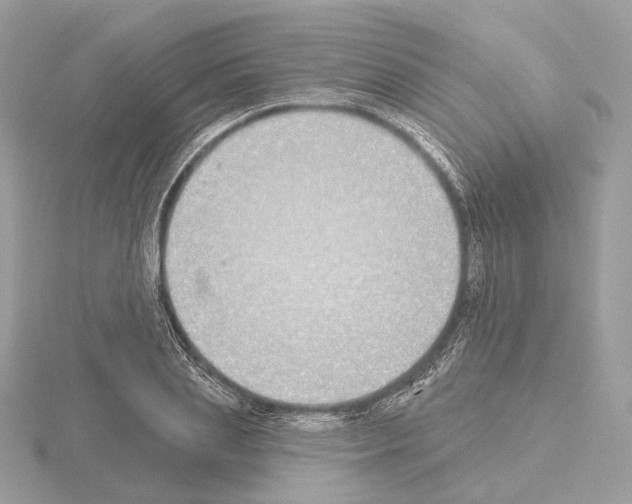 X0000115050837200912071128