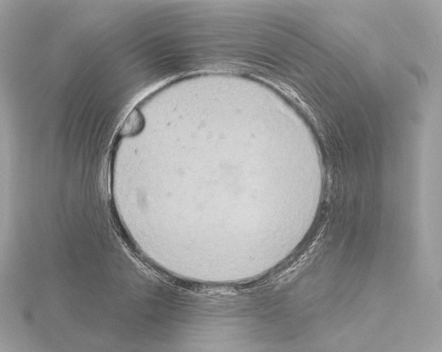 X0000115050838200912071128