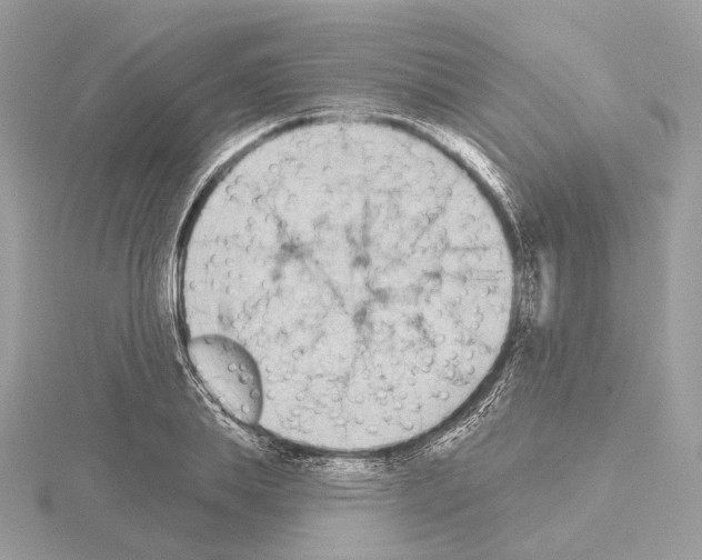 X0000115050839200912071128