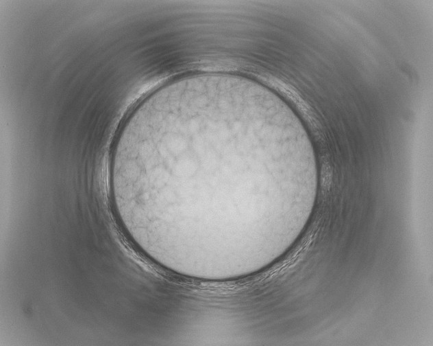 X0000115050840200912071128