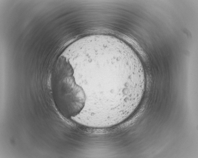 X0000115050841200912071128