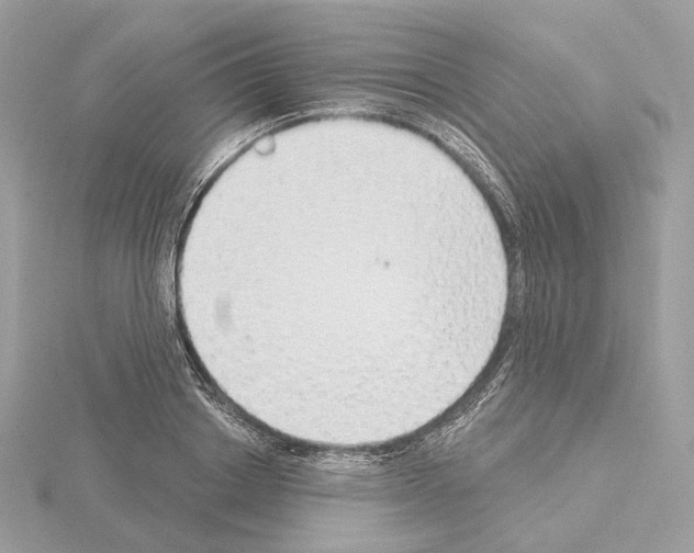 X0000115050842200912071128