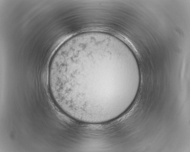 X0000115050844200912071128