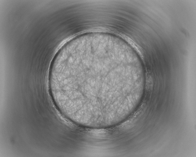 X0000115050845200912071128