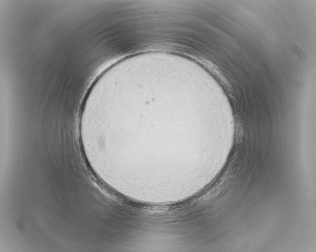 X0000115050846200912071128