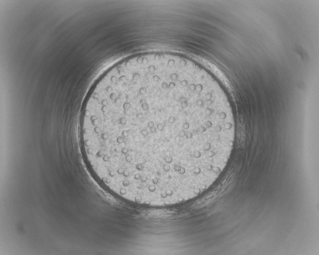 X0000115050847200912071128