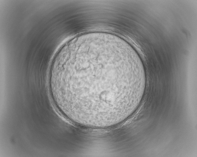 X0000115050848200912071128