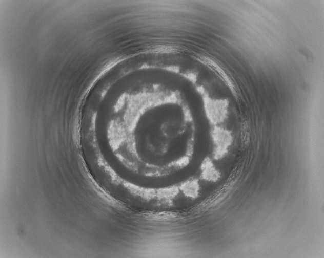 X0000115050851200912071128