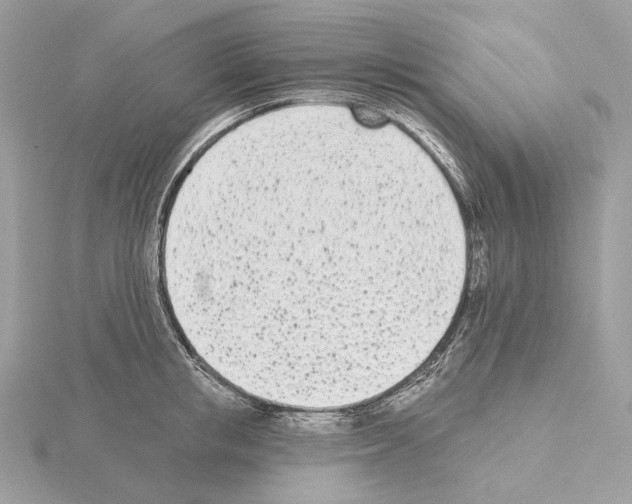 X0000115050853200912071128